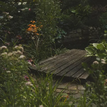 Σπίτι διακοπών Przystanek Zielnik *