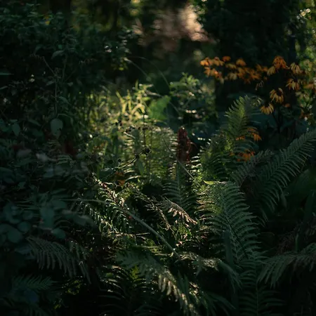 Holiday home Przystanek Zielnik