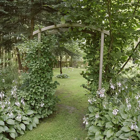 Przystanek Zielnik Losie