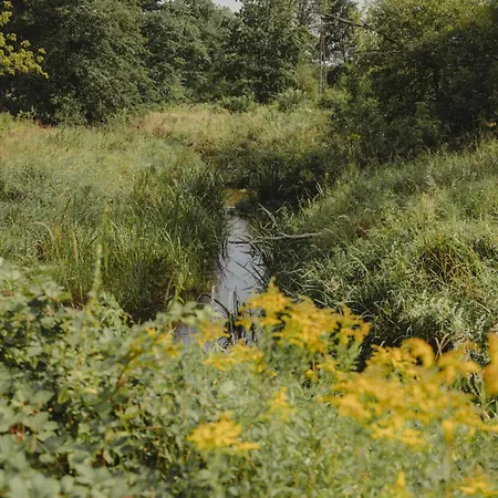 Przystanek Zielnik * Losie